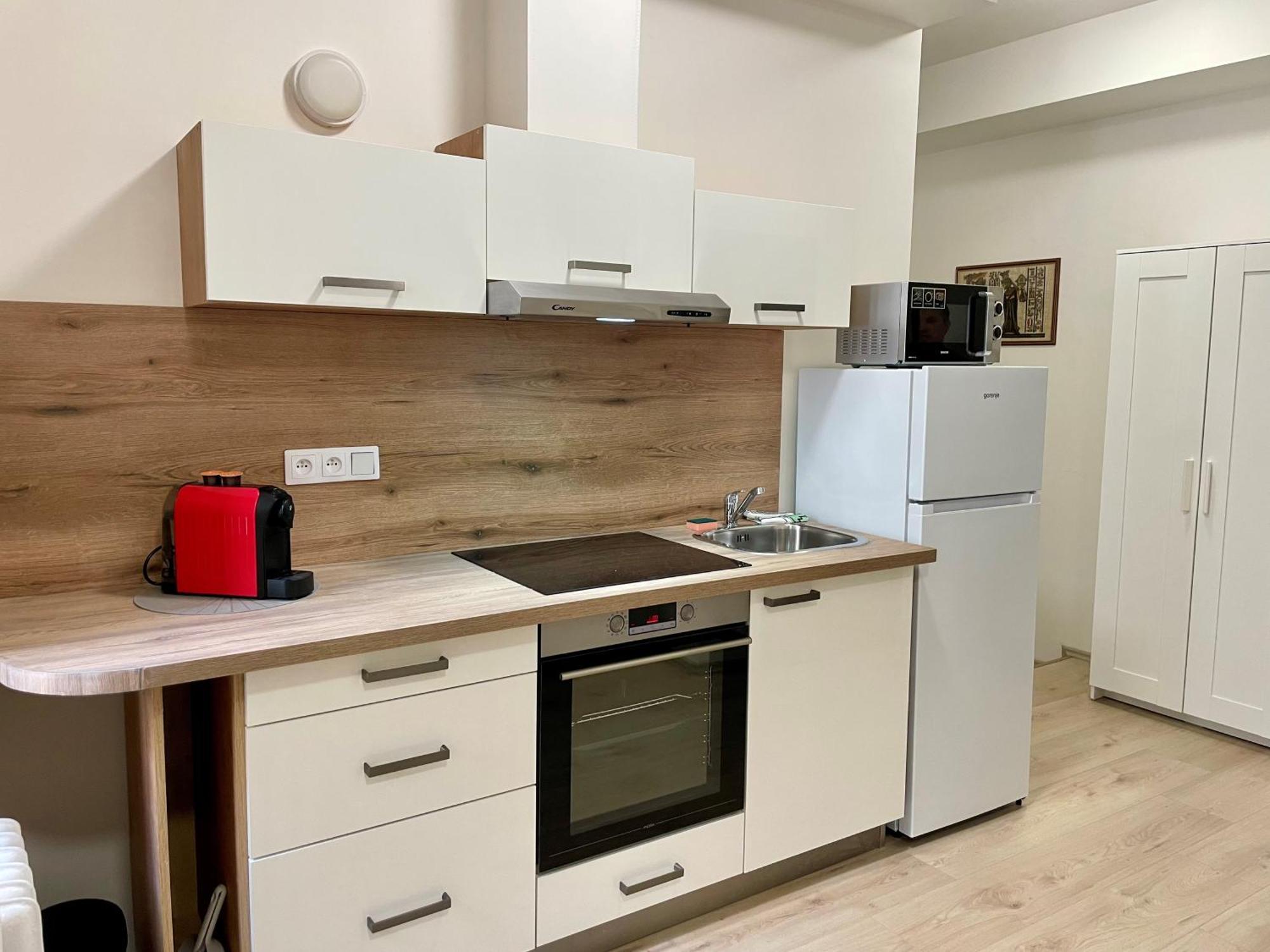 Apartman Josefska Διαμέρισμα Μπρνο Εξωτερικό φωτογραφία